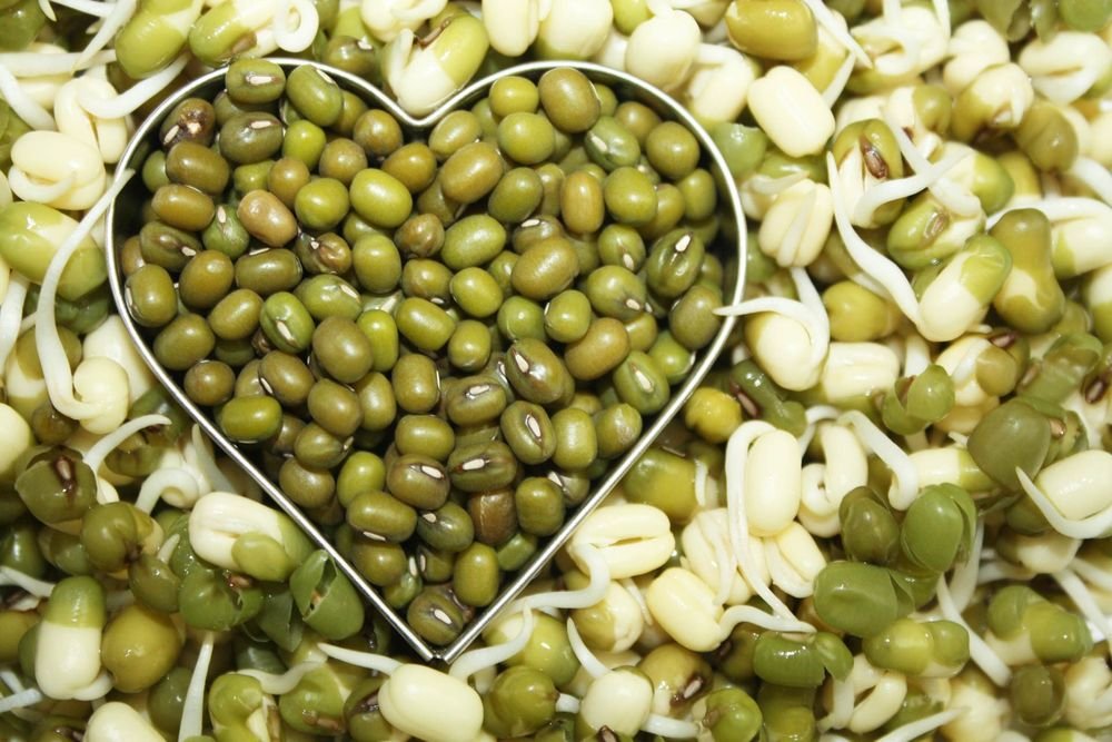 Käännän Itu ja Elo Oy